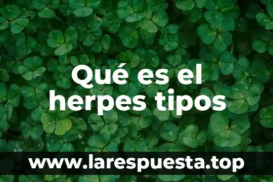 Urografia excretora que es tipos 3 Qué es el herpes tipos