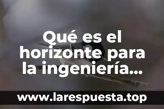 Que es registro civil en villahermosa 7 Qué es el horizonte para la ingeniería civil