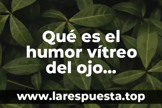 Qué es el humor vítreo del ojo humano