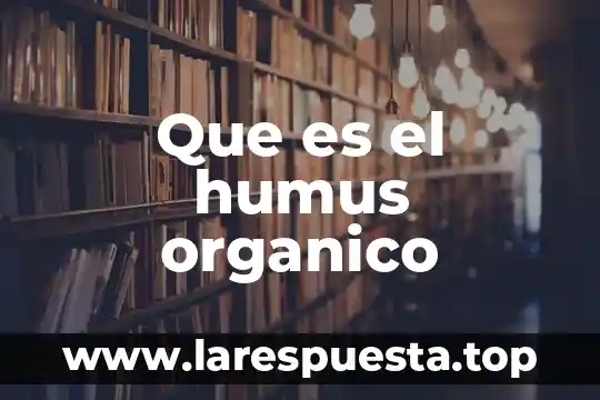 Introduccion sobre que es el humus solido y sus caracteristicas 5 Que es el humus organico