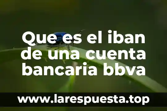 Que es el iban de una cuenta bancaria bbva