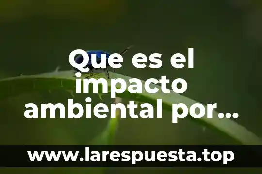 Que es el atragantamiento en niños 5 Que es el impacto ambiental por el consumismo
