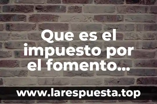 Que es un programa deportivo de television 4 Que es el impuesto por el fomento deportivo y educacional