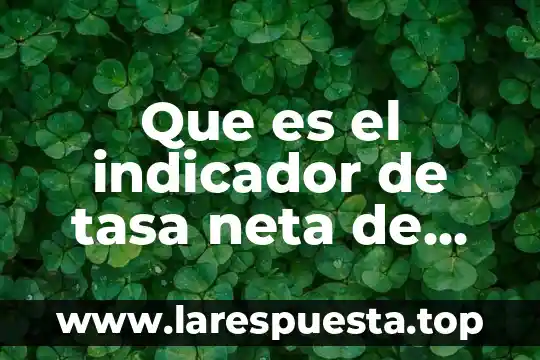 Qué es la cobertura de alumbrado público 3 Que es el indicador de tasa neta de cobertura de educación