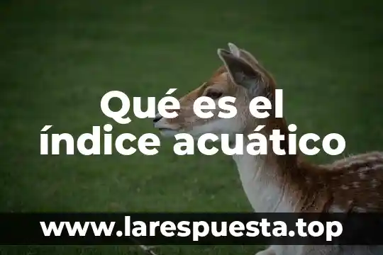 Qué es el índice acuático