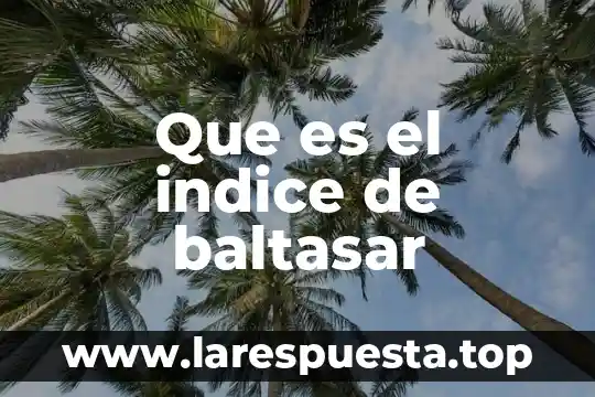 Que es el indice de rentabilidad de un proyecto 7 Que es el indice de baltasar