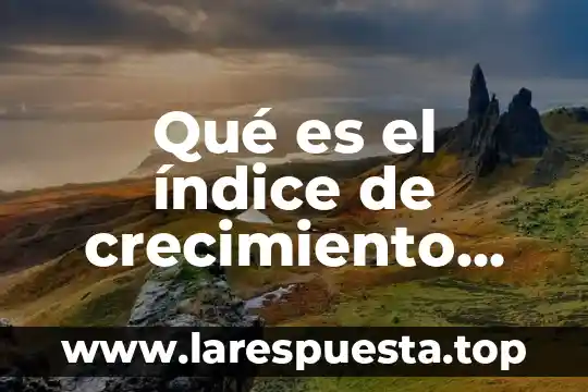 Que es o en que consiste el modelo economico neovidelario 6 Qué es el índice de crecimiento económico