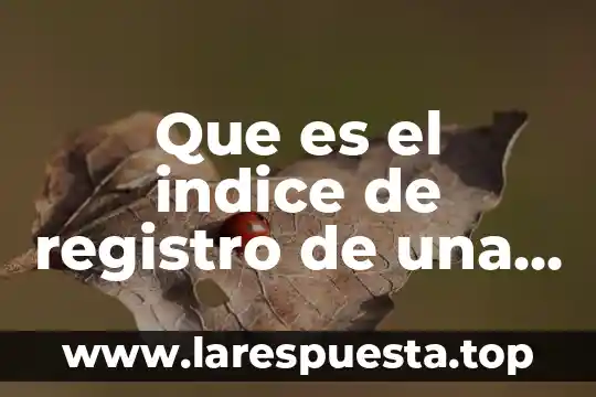 Que es el factor de impacto de una revista valores 8 Que es el indice de registro de una revista