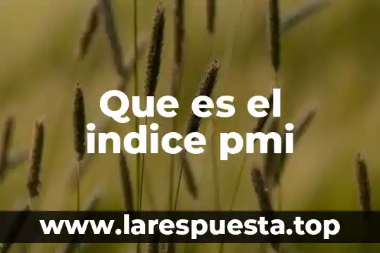 Que es el indice de rechazo 8 Que es el indice pmi