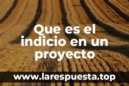 Que es un proyecto didactico de vinculacion 4 Que es el indicio en un proyecto