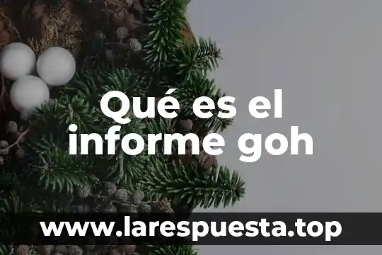 Qué es un informe y cómo realizarlo 8 Qué es el informe goh
