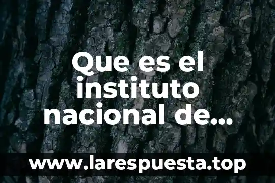 Que es intelectual de educacion especial 6 Que es el instituto nacional de propiedad intelectual