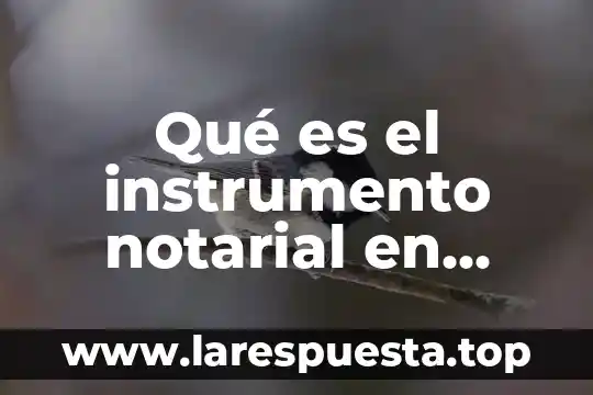 Asertividad que es significado y concepto 4 Qué es el instrumento notarial en general concepto