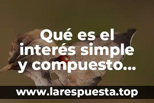 Qué es el interés simple y compuesto donde se aplica