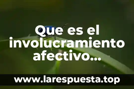 Que es el sincitio funcional 5 Que es el involucramiento afectivo funcional