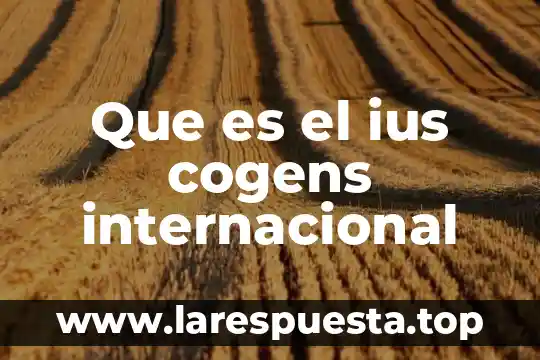 Que es el ius cogens internacional