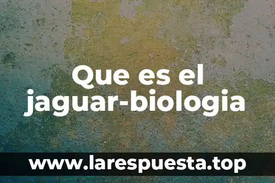 Agencias mayoristas que es 8 Que es el jaguar-biologia