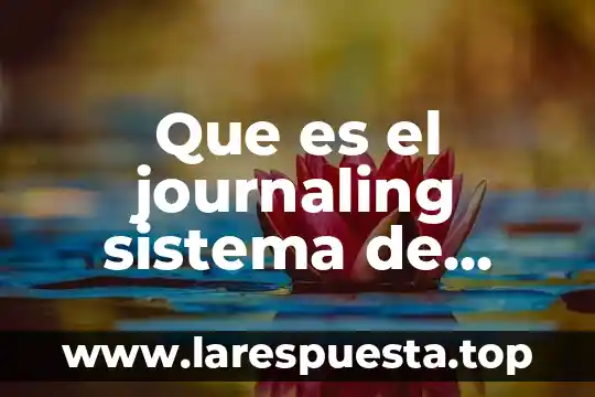 Que es un archivos de microsoft office 3 Que es el journaling sistema de archivos