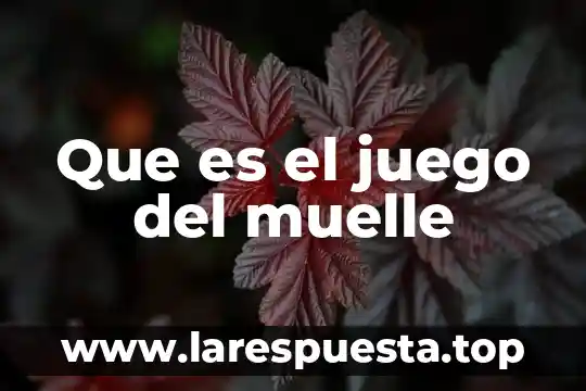 Que es un juego mecanico informacion 5 Que es el juego del muelle