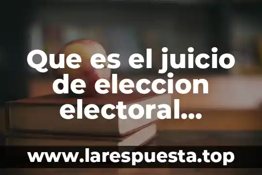 Que es la condicion juridica de los extranjeros en mexico 3 Que es el juicio de eleccion electoral mexico