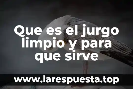 Que es el jurgo limpio y para que sirve