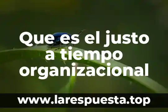 Que es el justo a tiempo organizacional