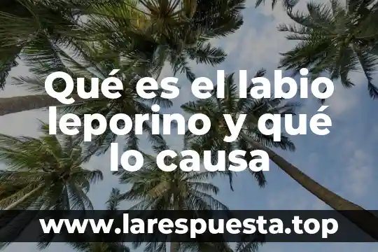 Que es lo que causa alergia a los digestivos 6 Qué es el labio leporino y qué lo causa
