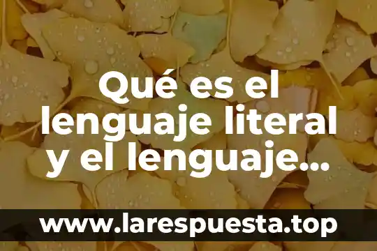 Qué es lenguaje lín 6 Qué es el lenguaje literal y el lenguaje metafórico