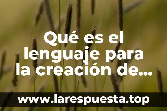 Que es paginas mas vistas de la computadora 3 Qué es el lenguaje para la creación de páginas