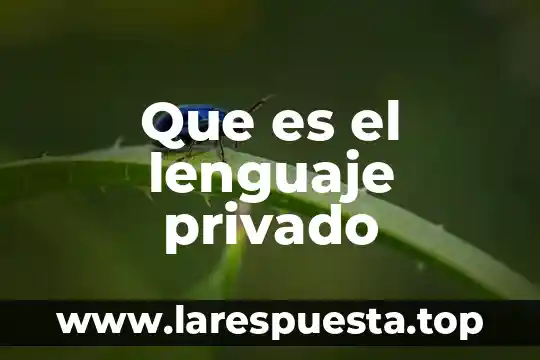 Que es el lenguaje privado