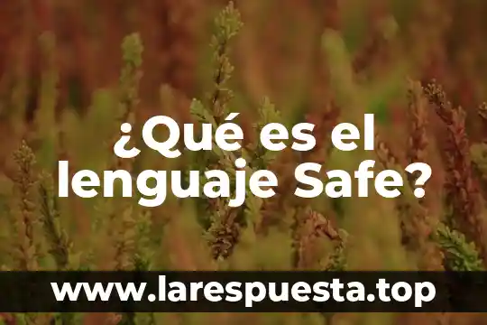 Qué es lenguaje lín 7 ¿Qué es el lenguaje Safe?