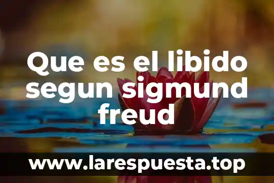 Que es el libido segun sigmund freud