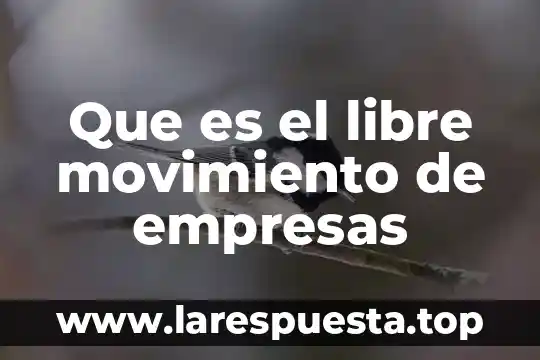 Qué es un movimiento continuo 7 Que es el libre movimiento de empresas