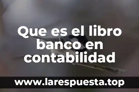 Que es contabilidad electrica 6 Que es el libro banco en contabilidad