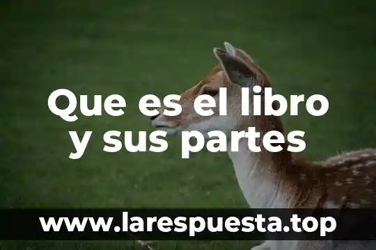 Que es un libro album ilustrado 6 Que es el libro y sus partes