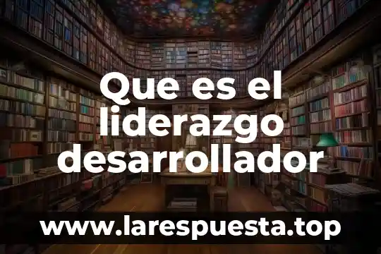 Que es un desarrollador java 3 Que es el liderazgo desarrollador