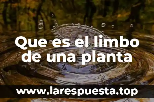 Que es la planta de techos 7 Que es el limbo de una planta