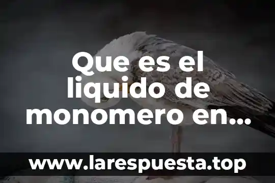 Que es el liquido de monomero en aplicación de unas