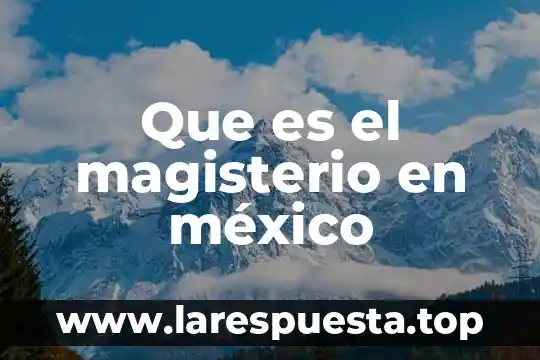 Que es la vida colonial en mexico 6 Que es el magisterio en méxico
