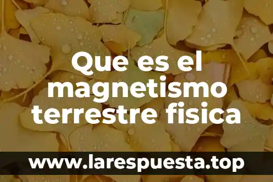 Magnetismo que es una 5 Que es el magnetismo terrestre fisica