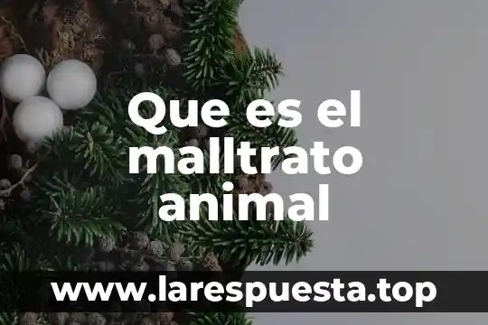 Qué es el animal racún 6 Que es el malltrato animal