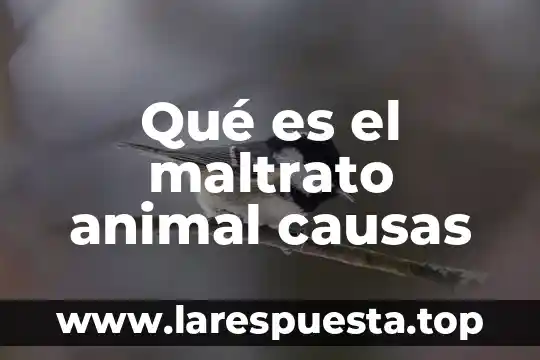 Qué es el maltrato animal causas