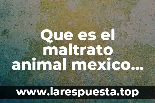 Que es el maltrato animal mexico resumen