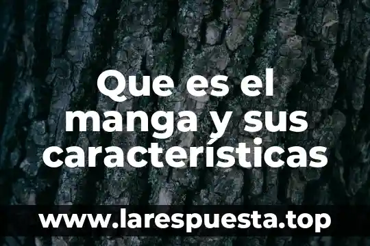 Que es una figura estrada y sus caracteristicas 6 Que es el manga y sus características
