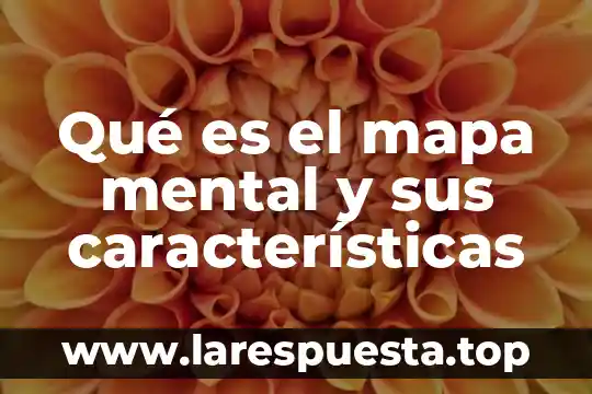 Que es lo que se maneja en un mapa mental 4 Qué es el mapa mental y sus características