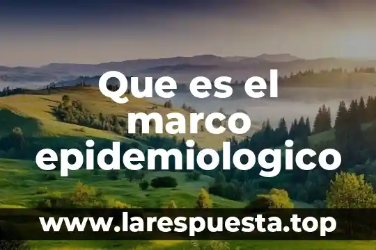 Qué es el marco fenomenológico 4 Que es el marco epidemiologico