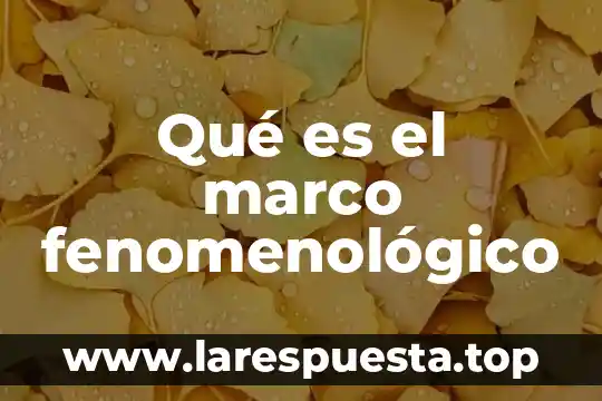 Como y que es un marco teórico 8 Qué es el marco fenomenológico