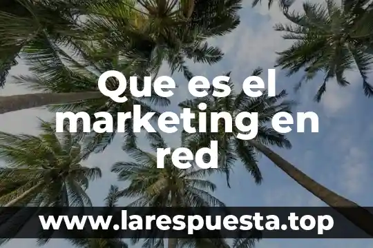 Que es el nombre de la red 8 Que es el marketing en red