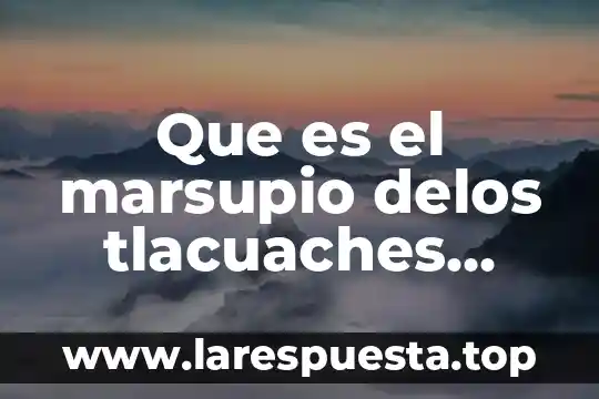 Que es el marsupio delos tlacuaches significado