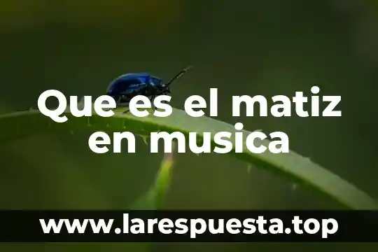 Que es el matiz en musica